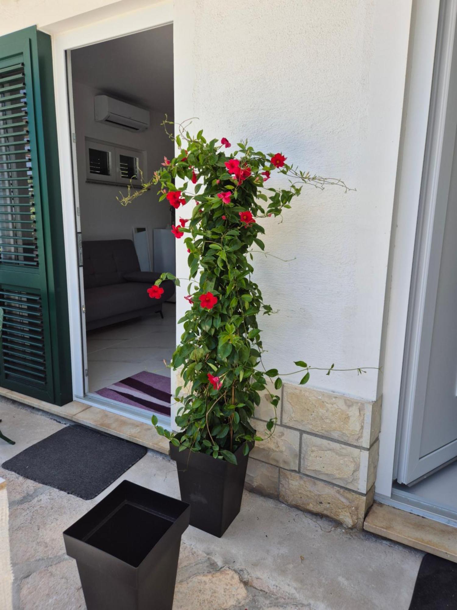 Apartman Bauer - Omis- Nemira Экстерьер фото